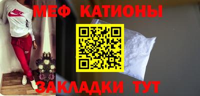 шишки Камышлов