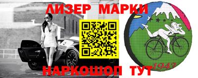 шишки Камышлов