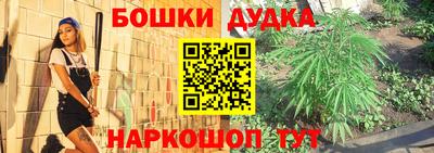 прущие грибы Канаш