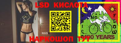 прущие грибы Канаш