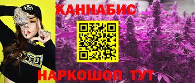 шишки Камышлов