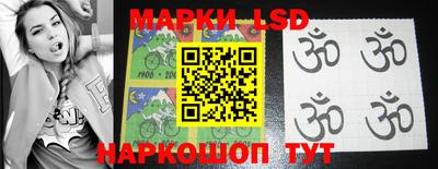 шишки Камышлов