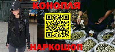 гашик Кандалакша