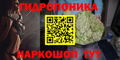 гашик Кандалакша