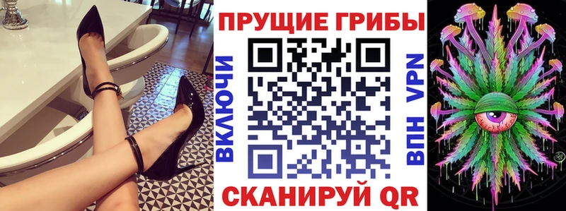 kraken зеркало  Новый Уренгой  Псилоцибиновые грибы ЛСД 