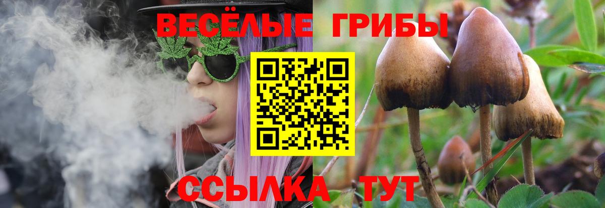 Псилоцибиновые грибы ЛСД  Вход с VPN  Псилоцибиновые грибы прущие грибы  Новый Уренгой 